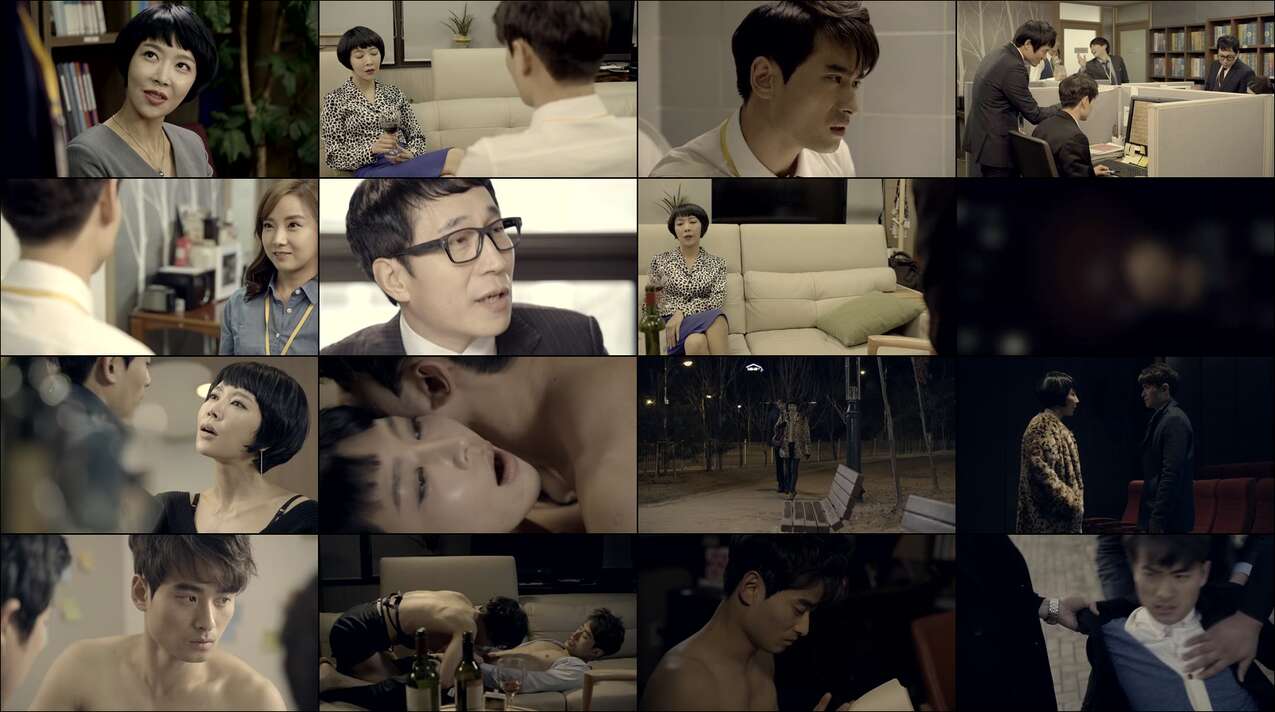 Video Lover (2015)