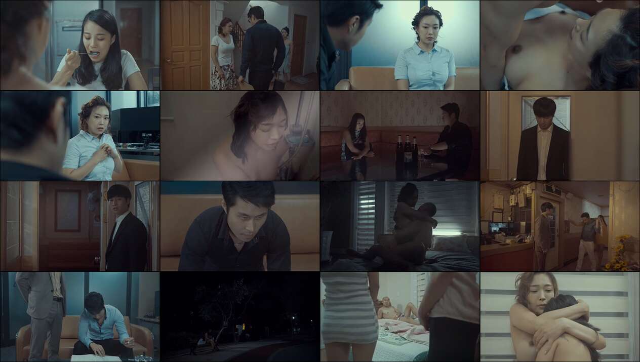 Video Prostitution (2016)