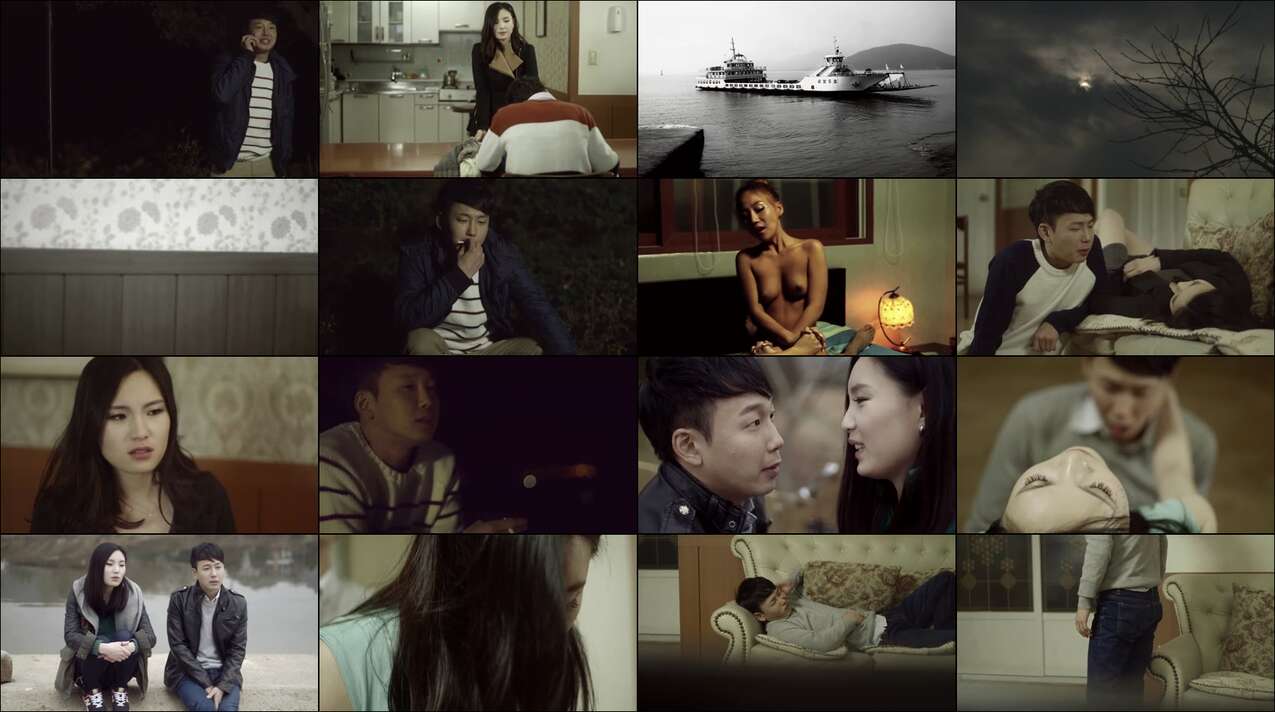 Video Secret Tutoring (2014)
